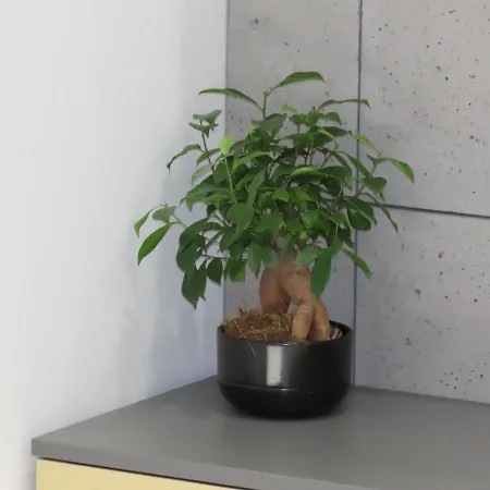 El - Polaris * Poznan